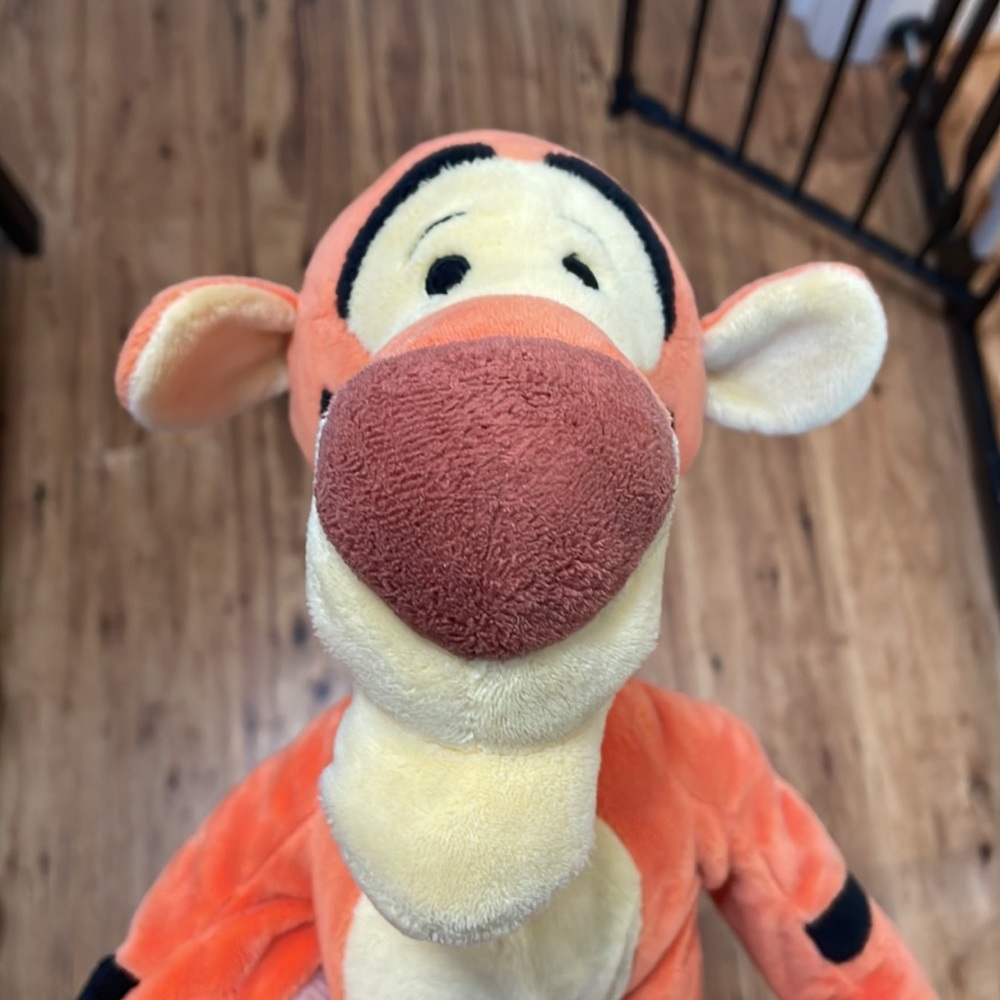 C: Disney Plush Tiger